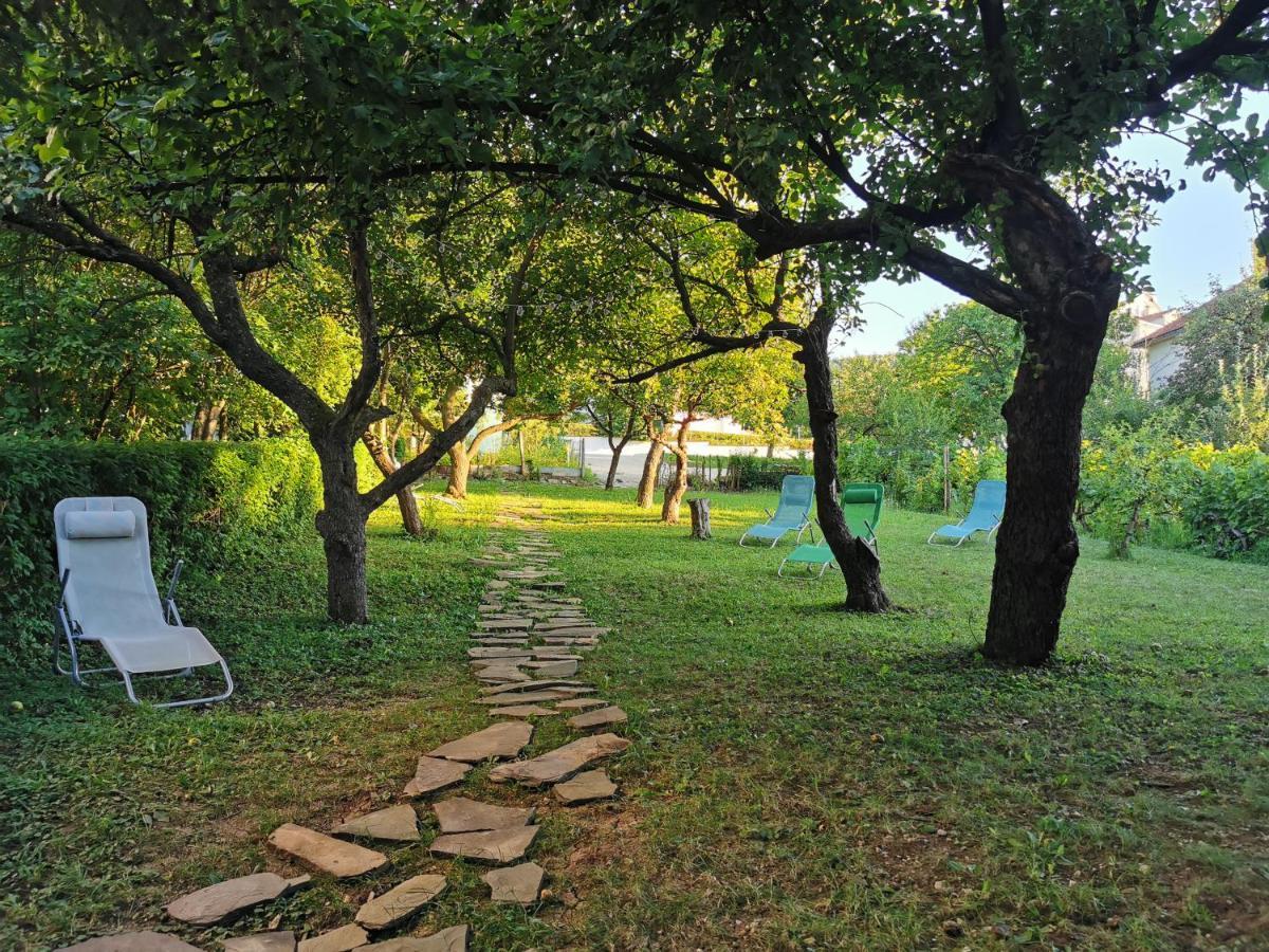 Vila Breza Soko Banja Exterior photo